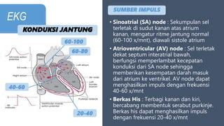 Ikhtisar Sinoatrial dan Node Jantung Atrioventrikular